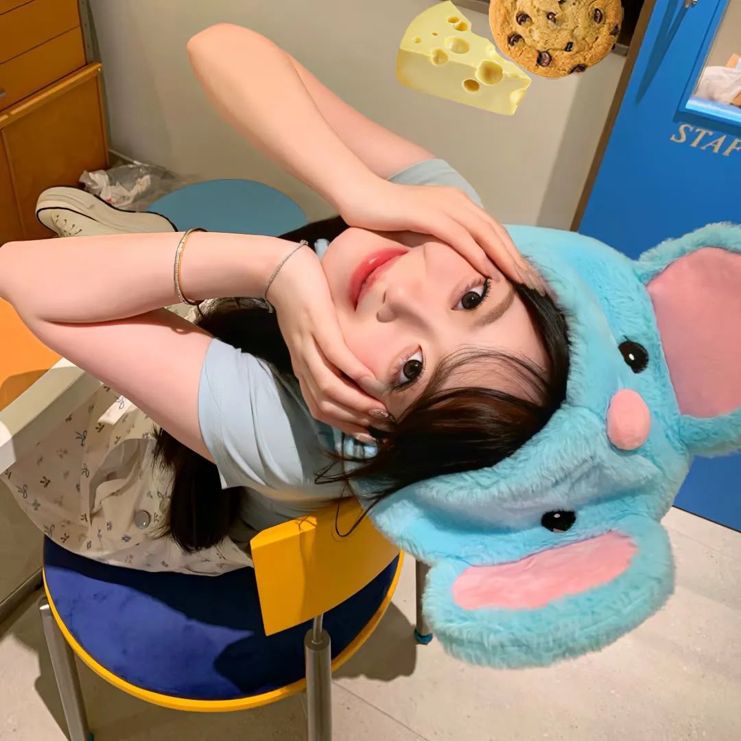 金星小姐